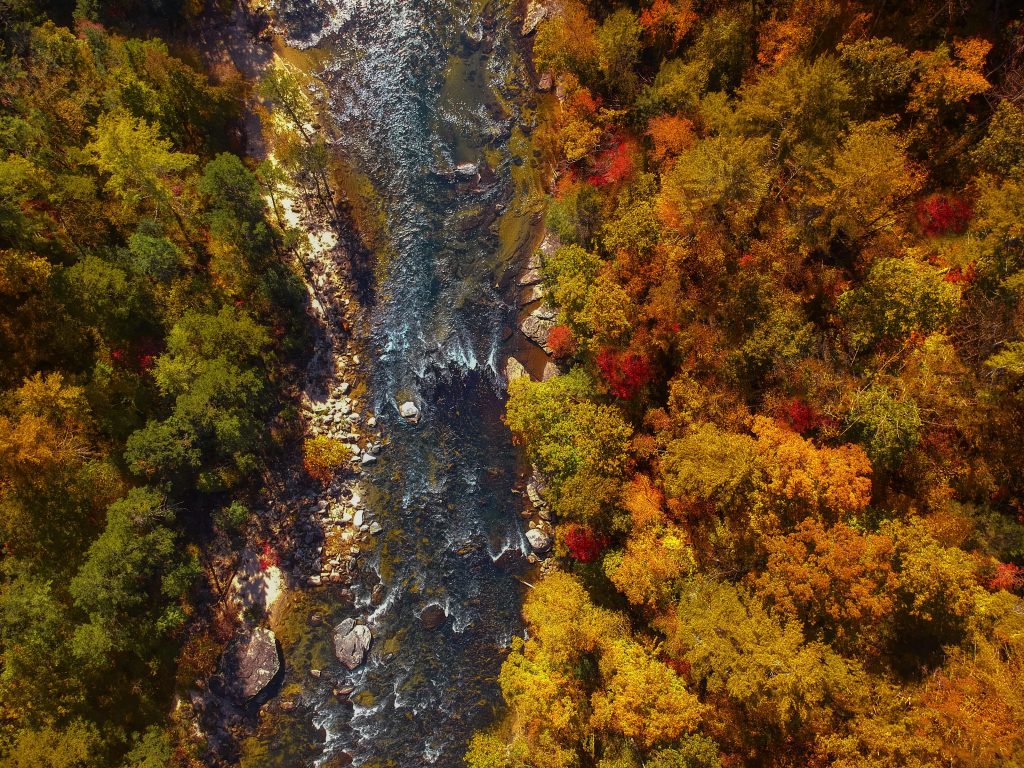 Buy land in North Carolina